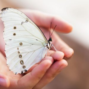 Meditație ghidată de manifestare a intențiilor tale – 15 minute - imagine 1